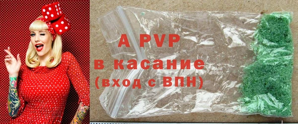 ПСИЛОЦИБИНОВЫЕ ГРИБЫ Долгопрудный