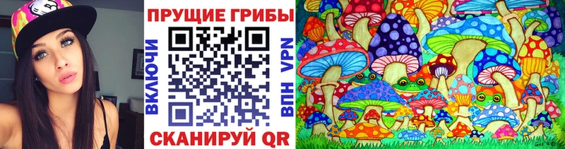 где продают   Белебей  Псилоцибиновые грибы MAGIC MUSHROOMS 