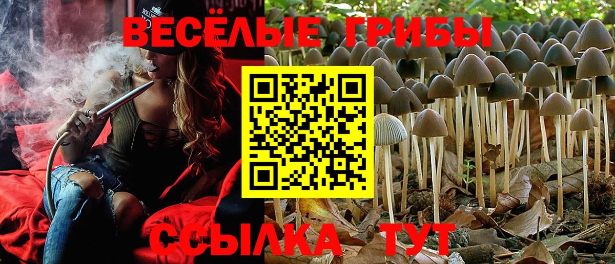Галлюциногенные грибы Cubensis  Псилоцибиновые грибы GOLDEN TEACHER  Белебей  Вход с VPN 